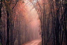 足球比分比分直播500是什么？怎么用？